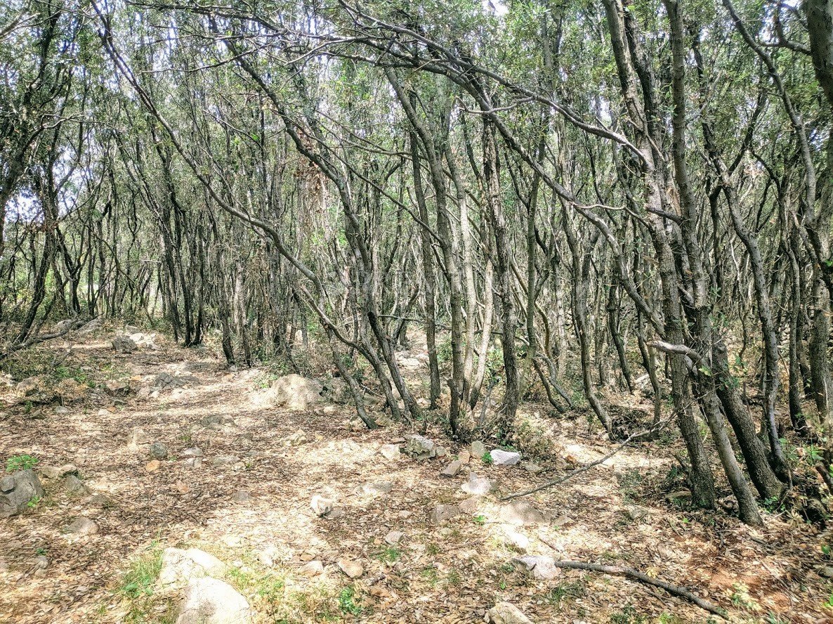 Terrain À vendre - Primorsko-goranska Krk
