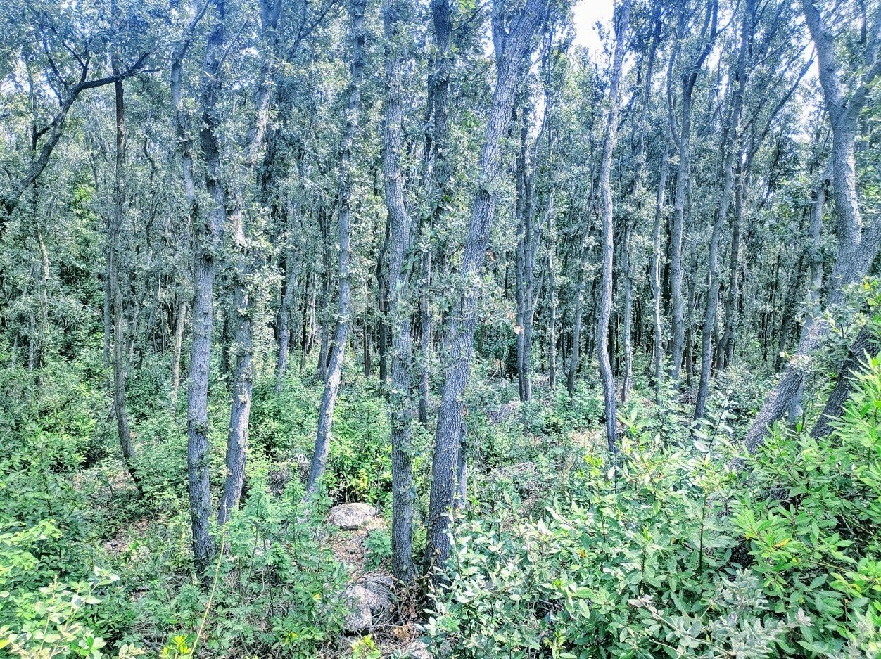 Terrain À vendre - Primorsko-goranska Krk