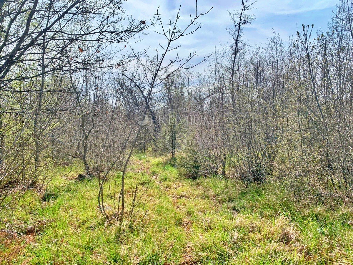 Terrain À vendre - Primorsko-goranska Vrh
