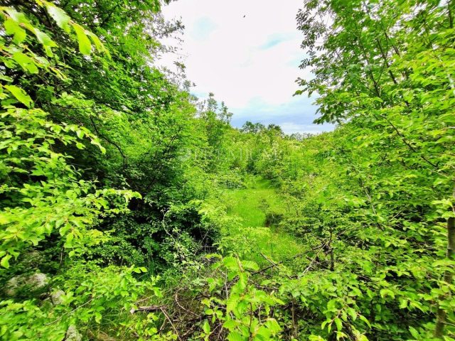 Pozemok na predaj 12644 m² – Vrbnik