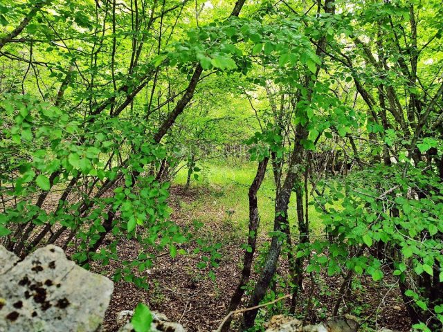 Grundstück Zu verkaufen - Primorsko-goranska Vrbnik - foto 2/2