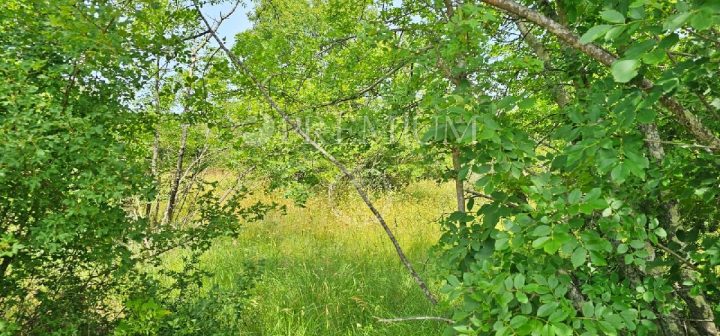 Land for sale 3604 m² – Krk