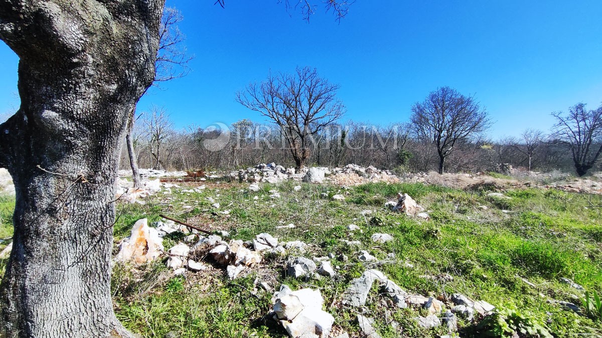 Zemljište Na prodaju -  Njivice