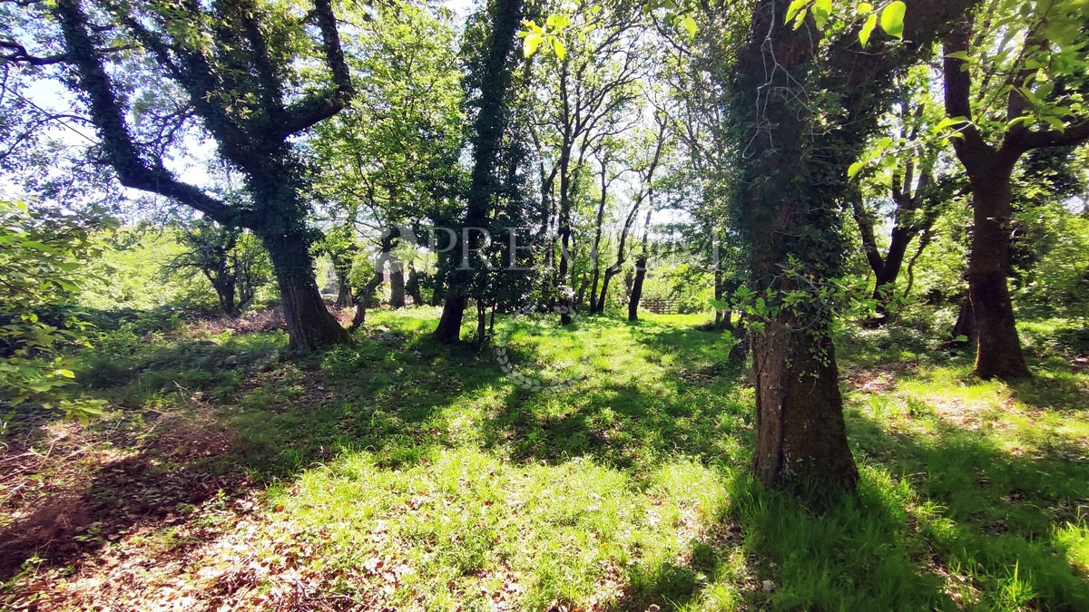 House For sale -  Dobrinj