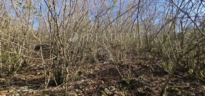 Terreno In vendita - Primorsko-goranska Pinezići - foto 2/3