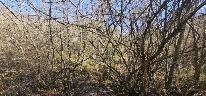 Terreno In vendita - Primorsko-goranska Pinezići - foto 3/3