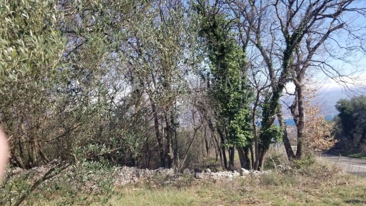 Parcela Naprodaj - Primorsko-goranska šilo - foto 3/3