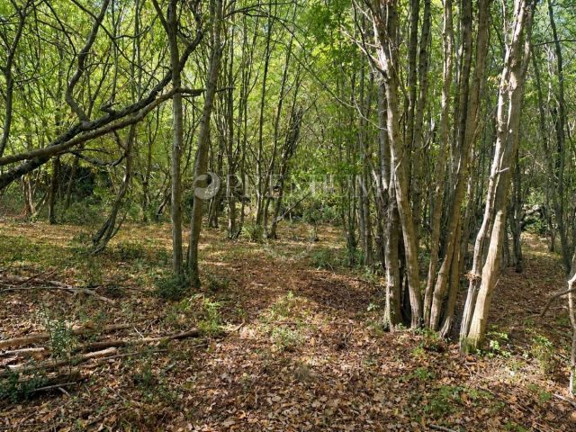 Land for sale 1349 m² – Vrbnik