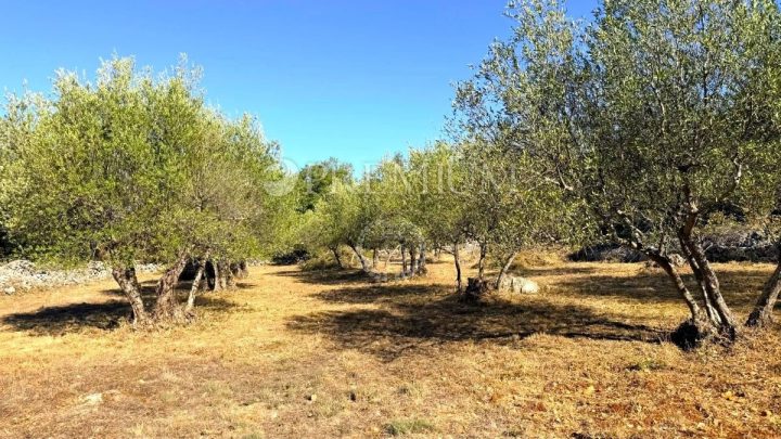 Zemljište na prodaju 2238 m² – Krk
