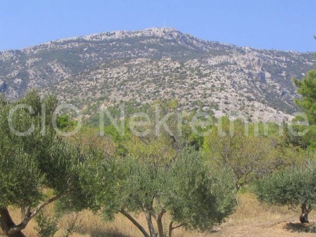Pozemok na predaj 3652 m² – Nerežišća