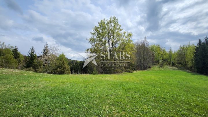 Land For sale - Primorsko-goranska Stari Laz - foto 3/7
