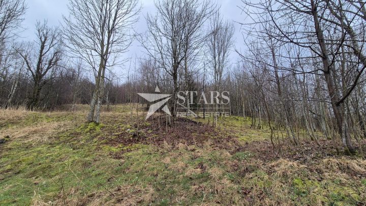Land For sale - Primorsko-goranska Fužine - foto 3/6