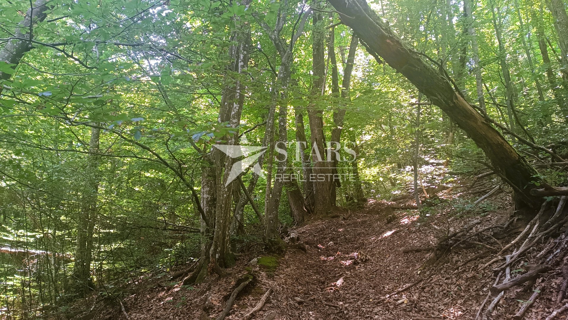 Działka Na sprzedaż - Karlovačka Klanac Perjasički