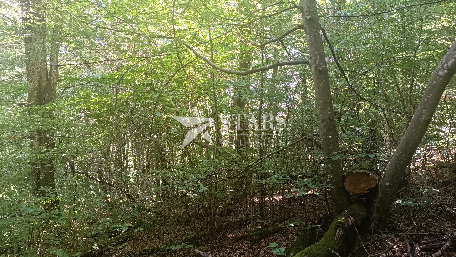 Działka Na sprzedaż - Karlovačka Klanac Perjasički