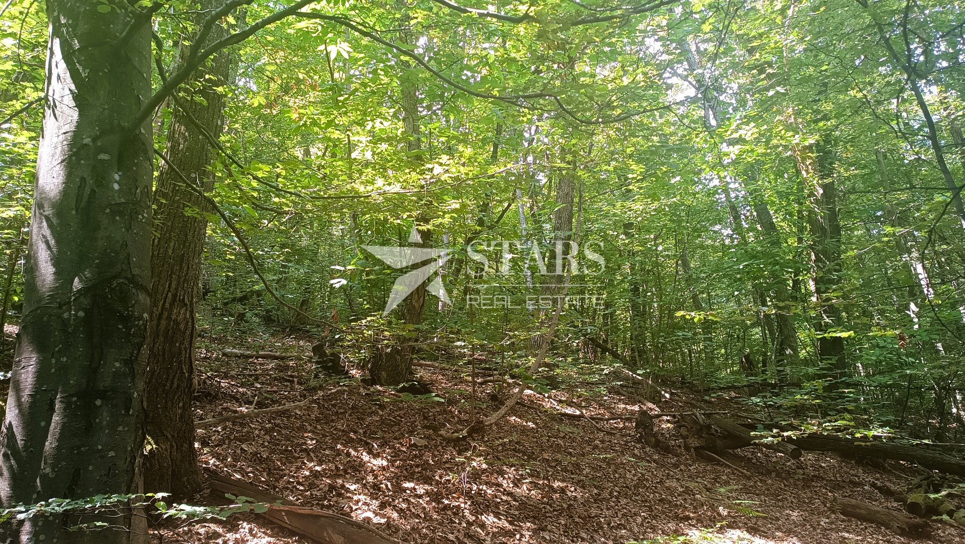 Działka Na sprzedaż - Karlovačka Klanac Perjasički