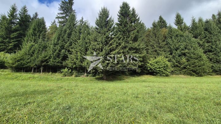 Land For sale - Primorsko-goranska Tršće - foto 2/8