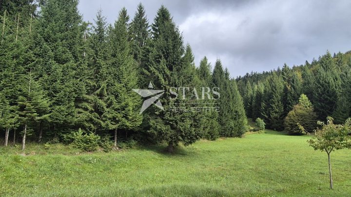 Land For sale - Primorsko-goranska Tršće - foto 4/8
