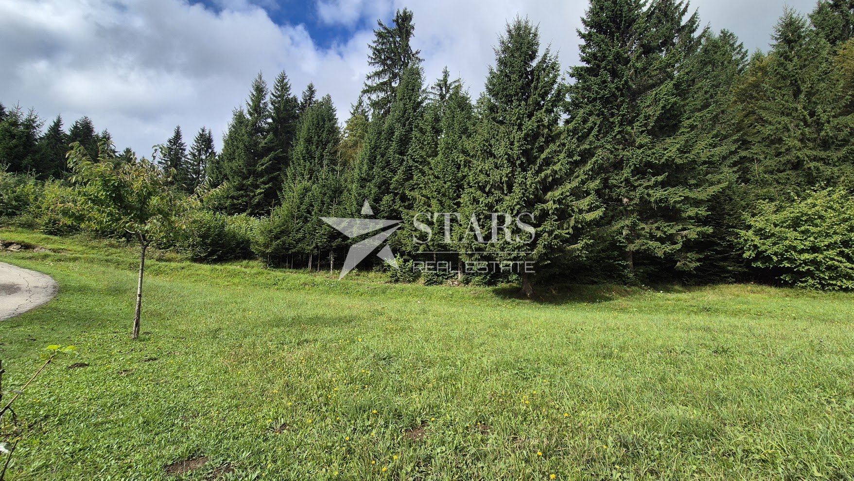 Land For sale - Primorsko-goranska Tršće - foto 1/8