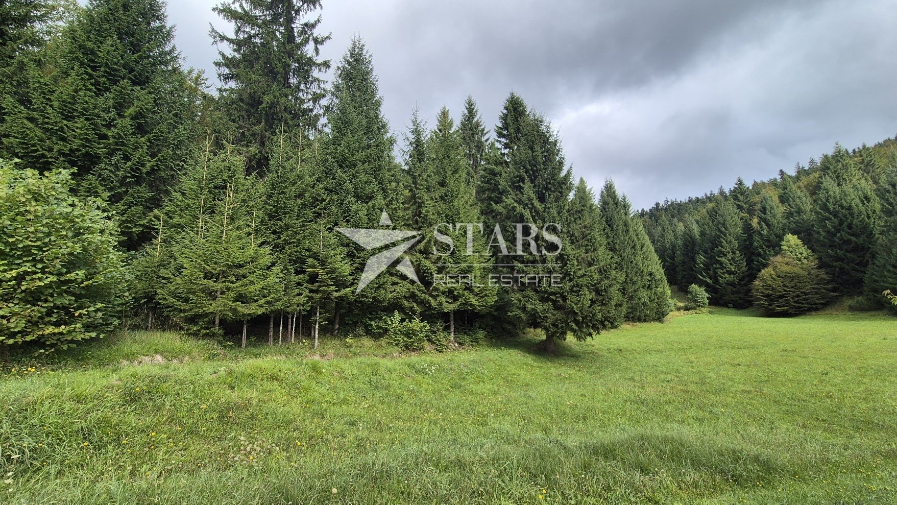Land For sale - Primorsko-goranska Tršće