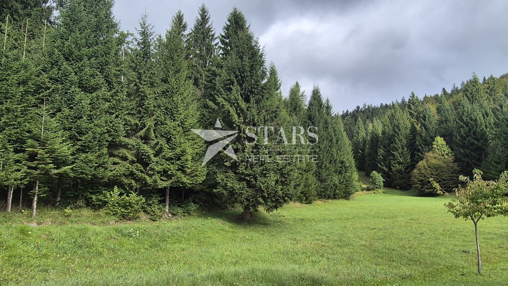Land For sale - Primorsko-goranska Tršće