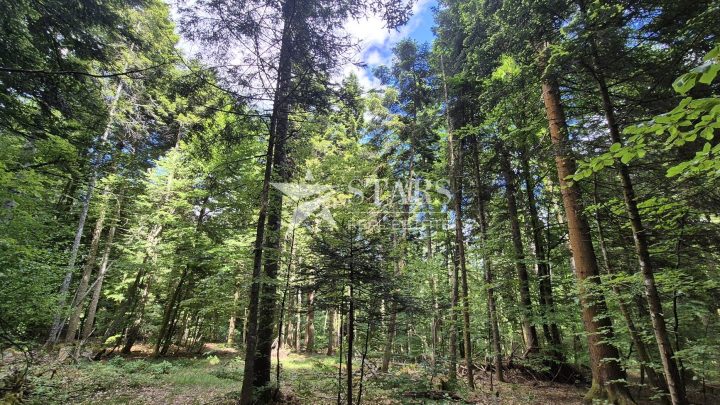 Parcela Naprodaj - Primorsko-goranska Nadvučnik - foto 4/6