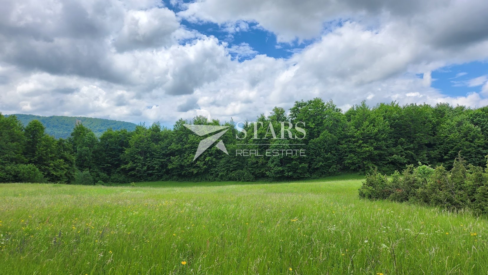 Terrain À vendre - Primorsko-goranska Stari Laz - foto 1/2