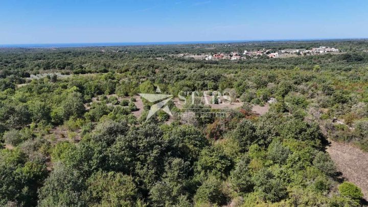 Pozemek Na prodej - Istarska Vodnjan - foto 3/5