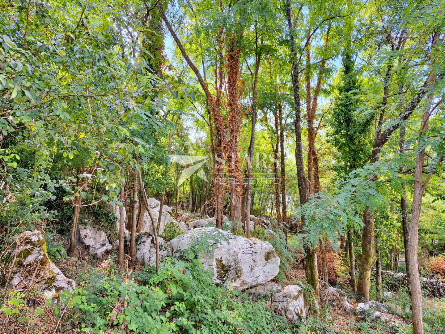 Parcela Naprodaj - Istarska Pićan