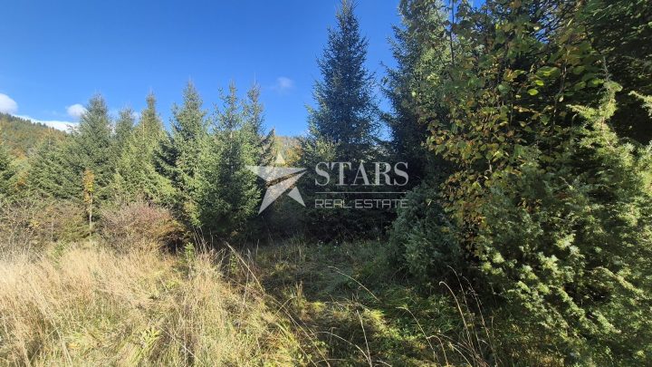 Land For sale - Primorsko-goranska Lokve - foto 3/10