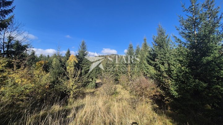 Land For sale - Primorsko-goranska Lokve - foto 4/10