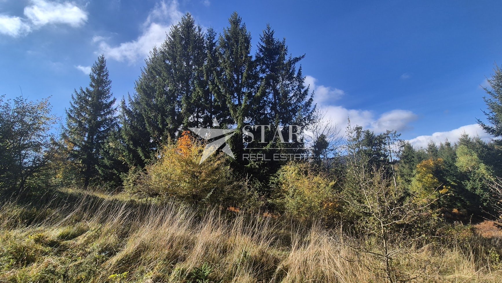Land For sale - Primorsko-goranska Lokve