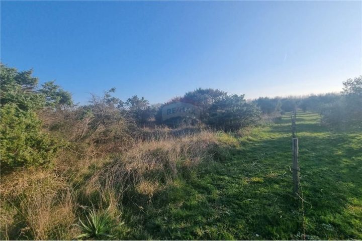 Land For sale - Zadarska Mulo - foto 4/7