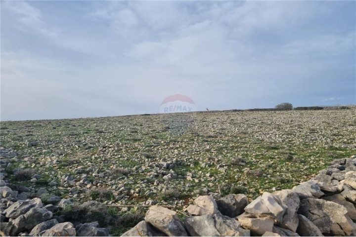 Terrain À vendre - Zadarska Povljana - foto 4/7