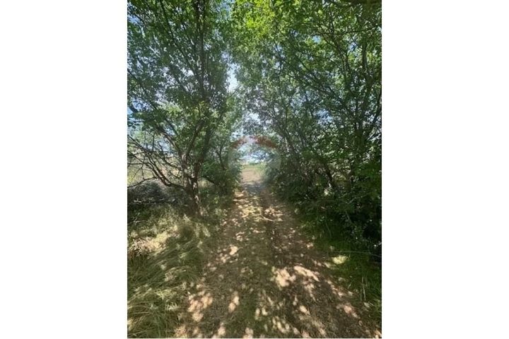 Terreno In vendita - Privlaka - foto 4/10