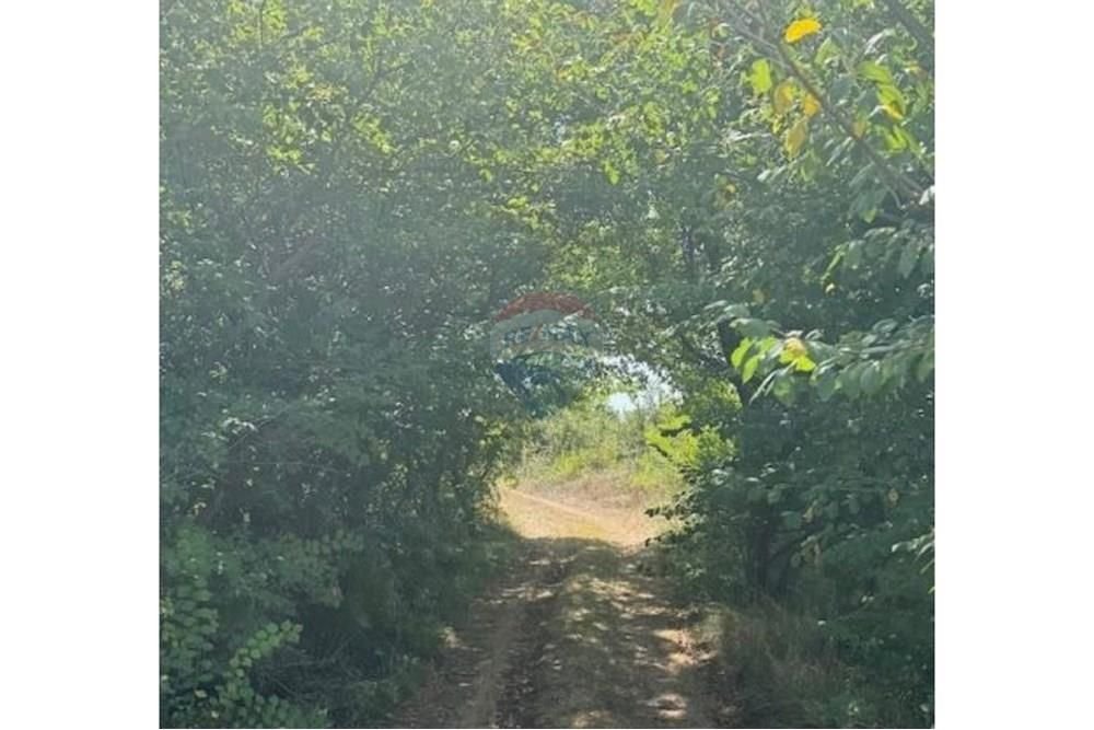 Terreno In vendita -  Privlaka