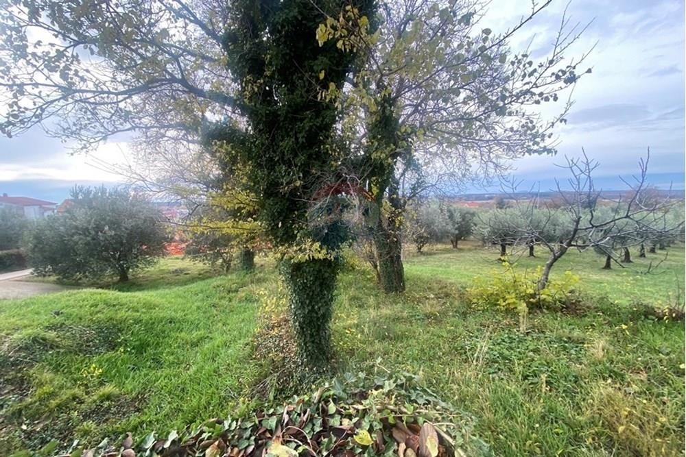 Parcela Na predaj - Zadarska Benkovac