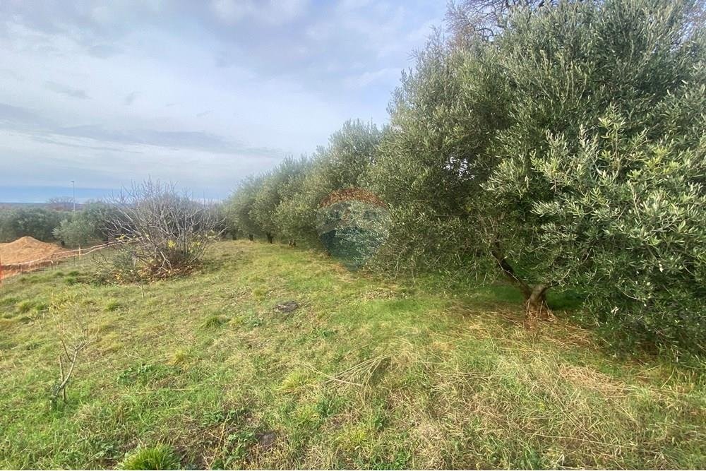 Parcela Na predaj - Zadarska Benkovac