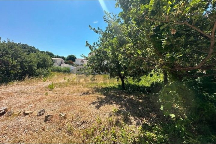 Terrain À vendre - Zadarska Bošana - foto 4/5