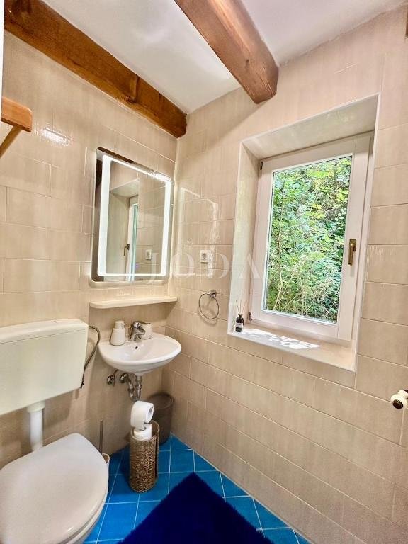 House For sale - Primorsko-goranska Grižane-Belgrad
