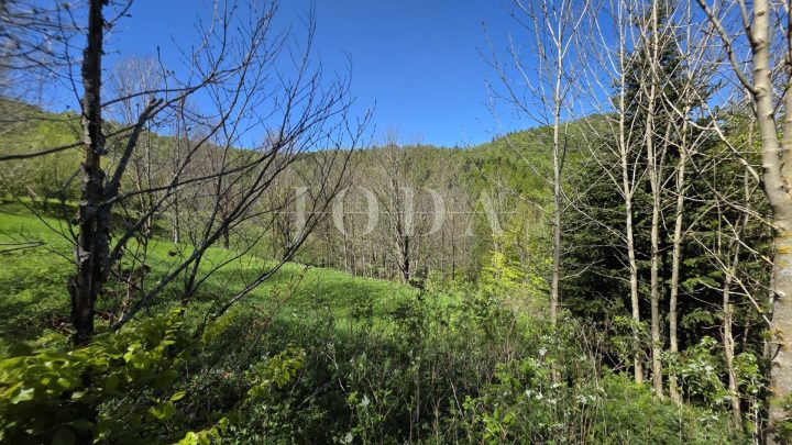 Pozemok na predaj 4726 m² – Fužine
