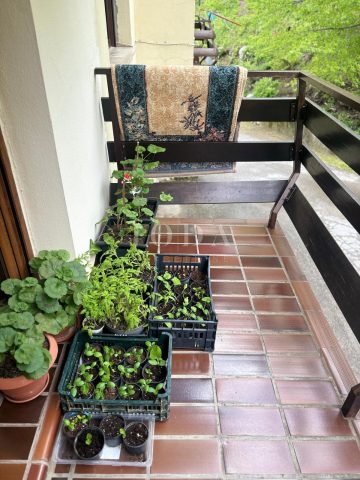 Apartmán Na predaj - Primorsko-goranska Fužine - foto 5/7