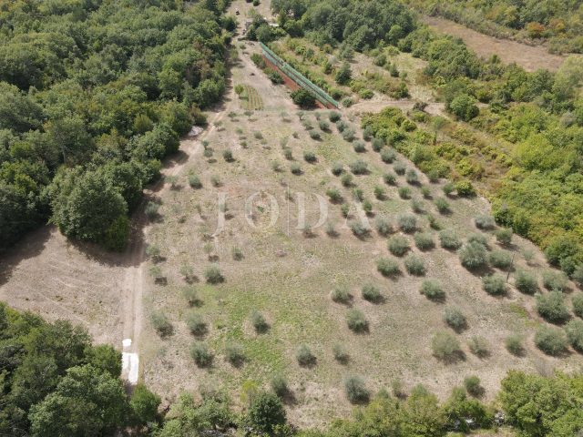 Pozemek na prodej 27800 m² – Labin