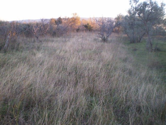 Land for sale 1269 m² – Starigrad Paklenica