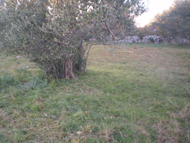 Terreno In vendita - ZADARSKA  STARIGRAD 