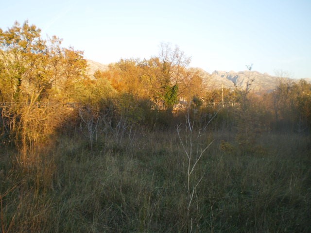 Terreno In vendita - ZADARSKA  STARIGRAD 