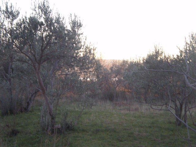 Land for sale 622 m² – Starigrad Paklenica