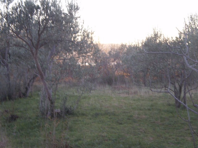 Terreno In vendita - ZADARSKA  STARIGRAD 