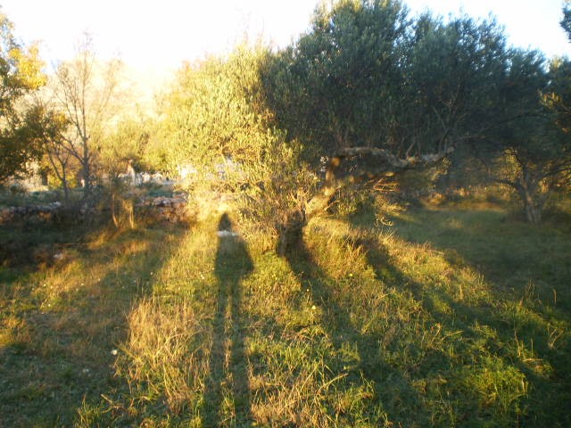 Terreno In vendita - ZADARSKA  STARIGRAD 