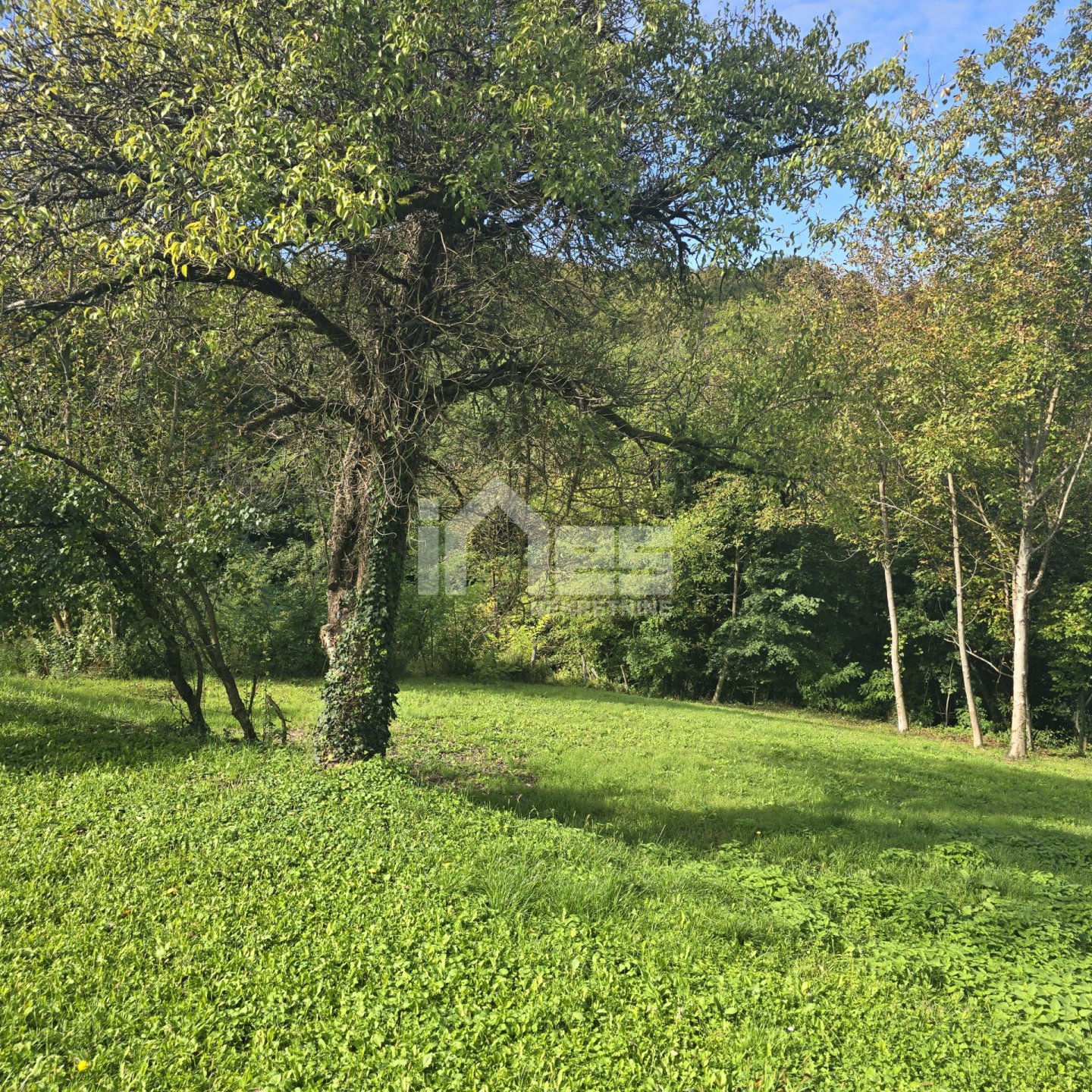 House For sale - Zagrebačka Kupljenovo