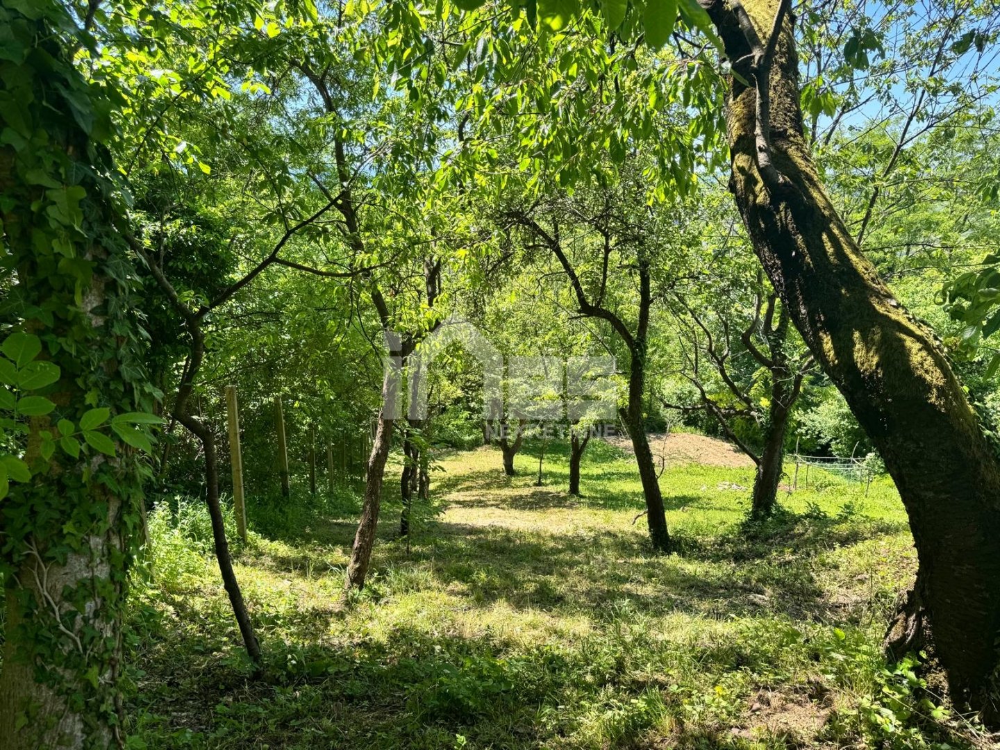 Land For sale - Zagrebačka Ivanec Bistranski